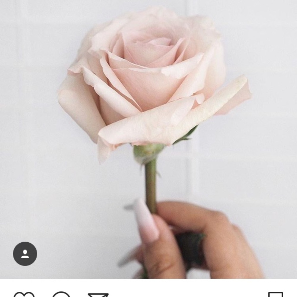 Meet your Posher, Ani