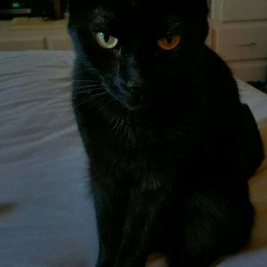 Meet your Posher, Johanna