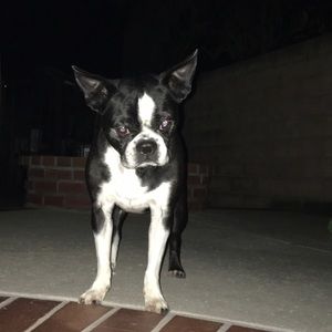 Meet your Posher, Raychel