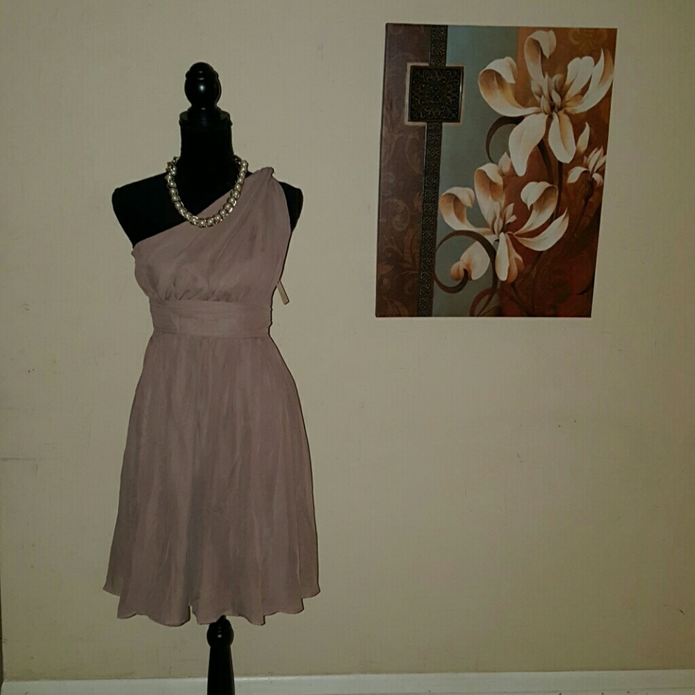 Chiffon Dress - Picture 1 of 5
