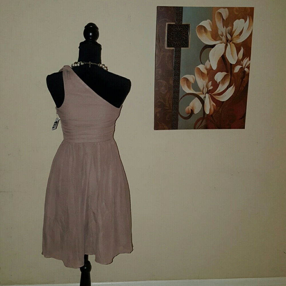 Chiffon Dress - Picture 2 of 5