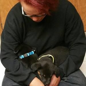 Meet your Posher, Vanessa