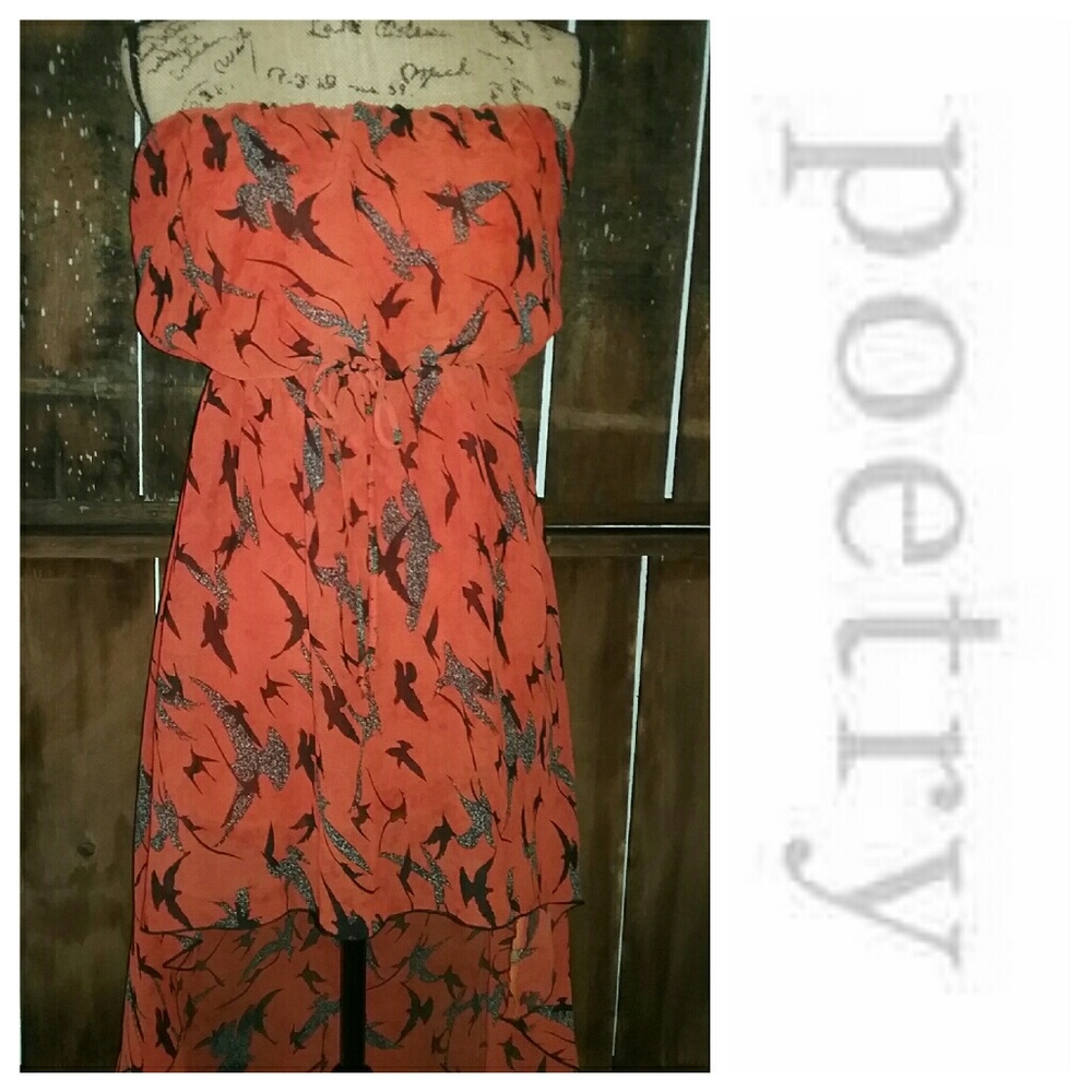 Poetry Dress