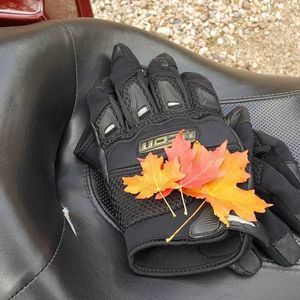 Meet your Posher, Sissy