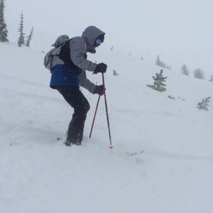 Meet your Posher, Logan