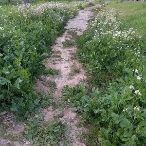 Meet your Posher, Macey