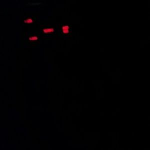 Meet your Posher, Autumn