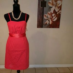 Beautiful Dress