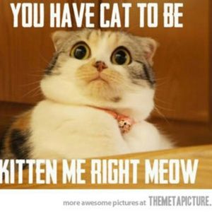 Meet your Posher, Bobbie