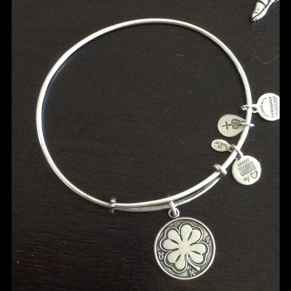 "Lucky charm" Alex and Ani adjustable bracelet.