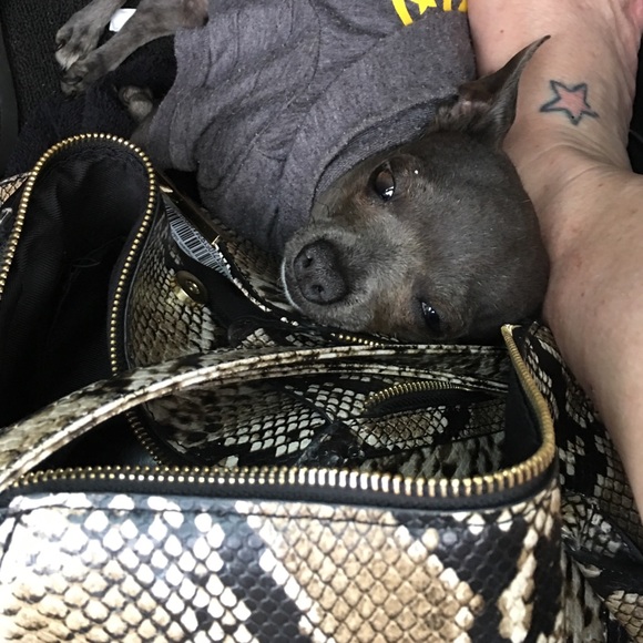 Meet your Posher, Alison - Picture 2 of 2