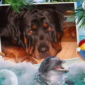 Meet your Posher, Penny