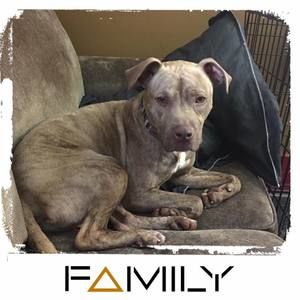 Meet your Posher, Crystal