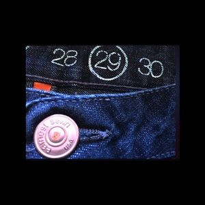 New, Earnest Sewn Women's Trouser Jeans!