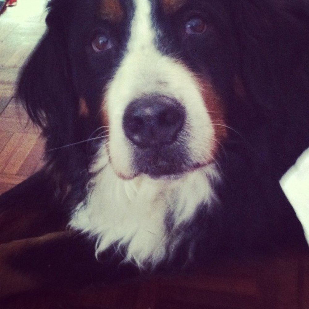 Meet your Posher, Kristin