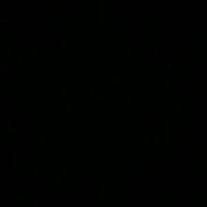 Meet your Posher, Lester