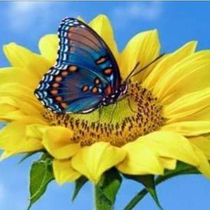 Meet your Posher, Iris