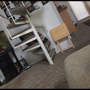 Meet your Posher, Maya