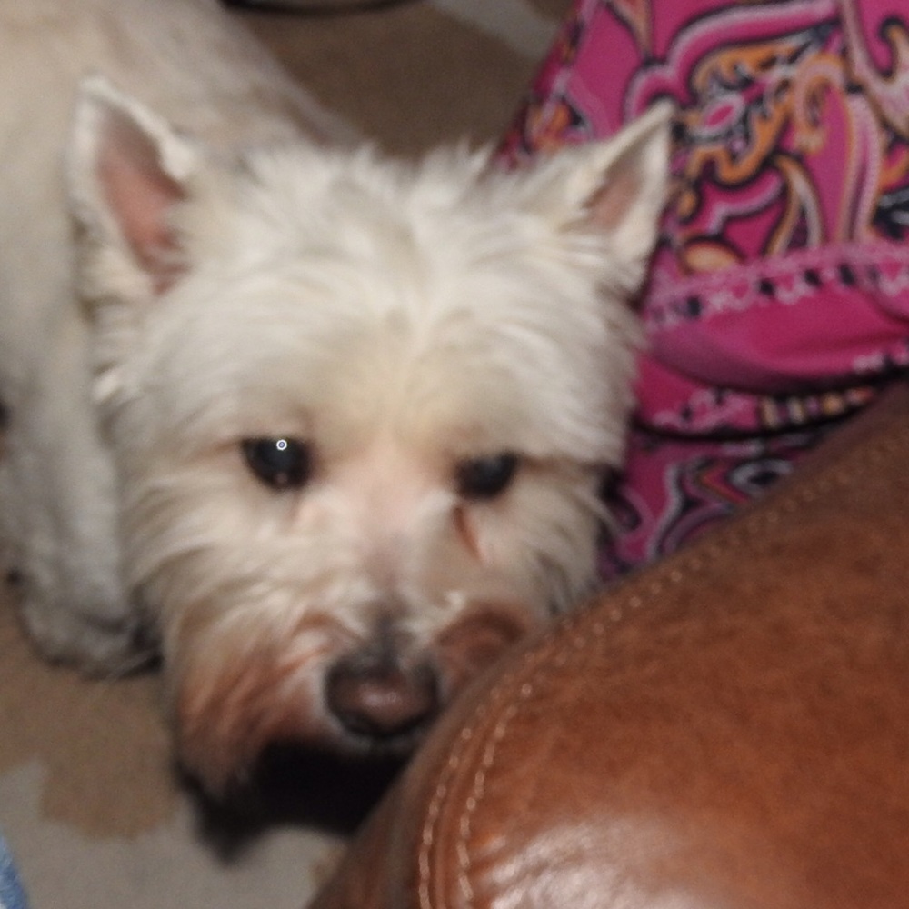 Meet your Posher, Terri