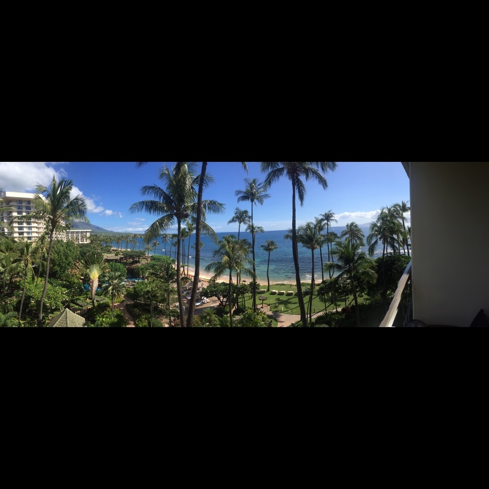 Meet your Posher, Albert