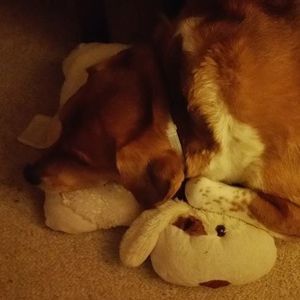 Meet your Posher, Linda