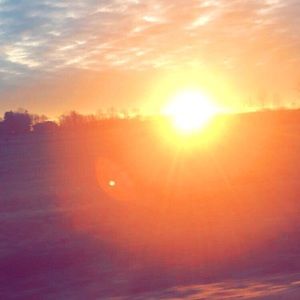 Meet your Posher, Ava