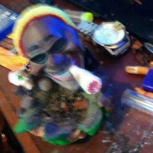 Meet your Posher, Donald