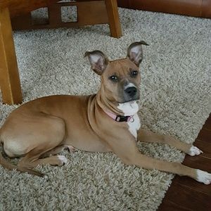 Meet your Posher, Renee