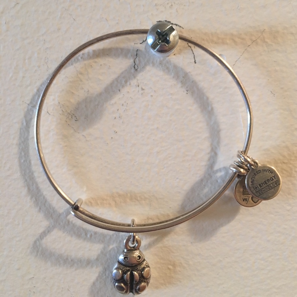 Alex and Ani ladybug silver bangle