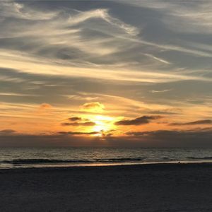 Meet your Posher, Angelina francoviglia