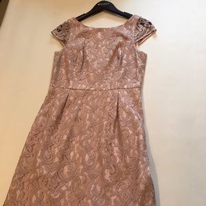 J.Crew Elsa dress in Dusty Rose (Pink) Lace NWT