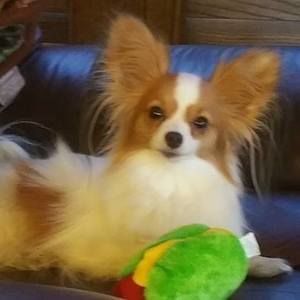 Meet your Posher, Tina