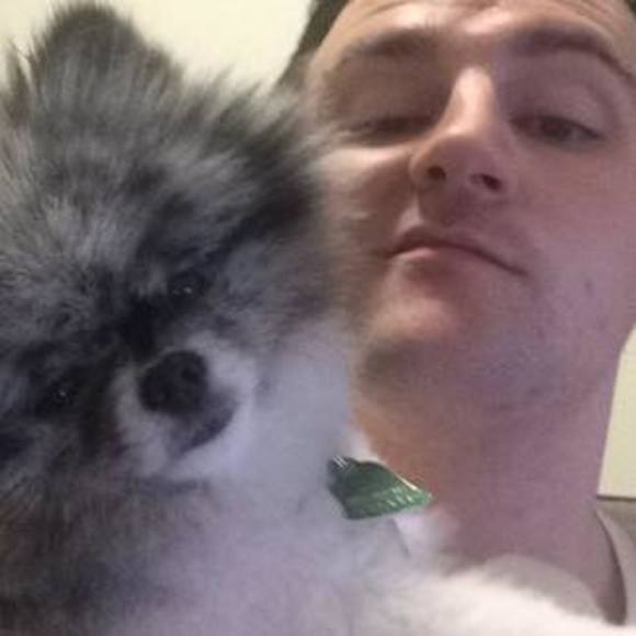 Meet your Posher, Cody - Picture 1 of 1