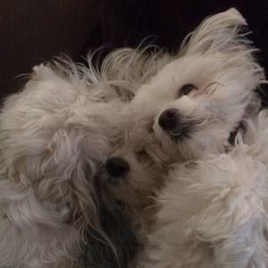 Meet your Posher, Deborah