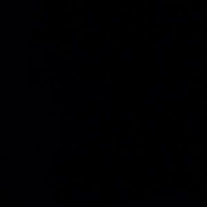 Meet your Posher, Jaivionne