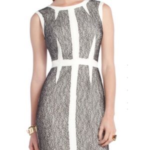 BCBG white shift dress with black lace