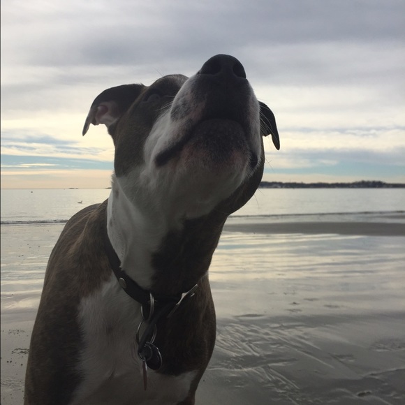 Meet your Posher, Kristen - Picture 1 of 1