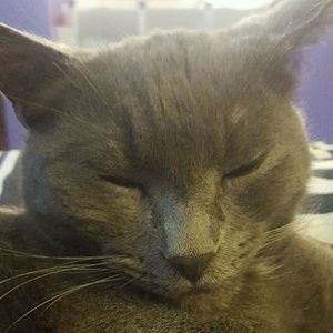 Meet your Posher, Jaclyn