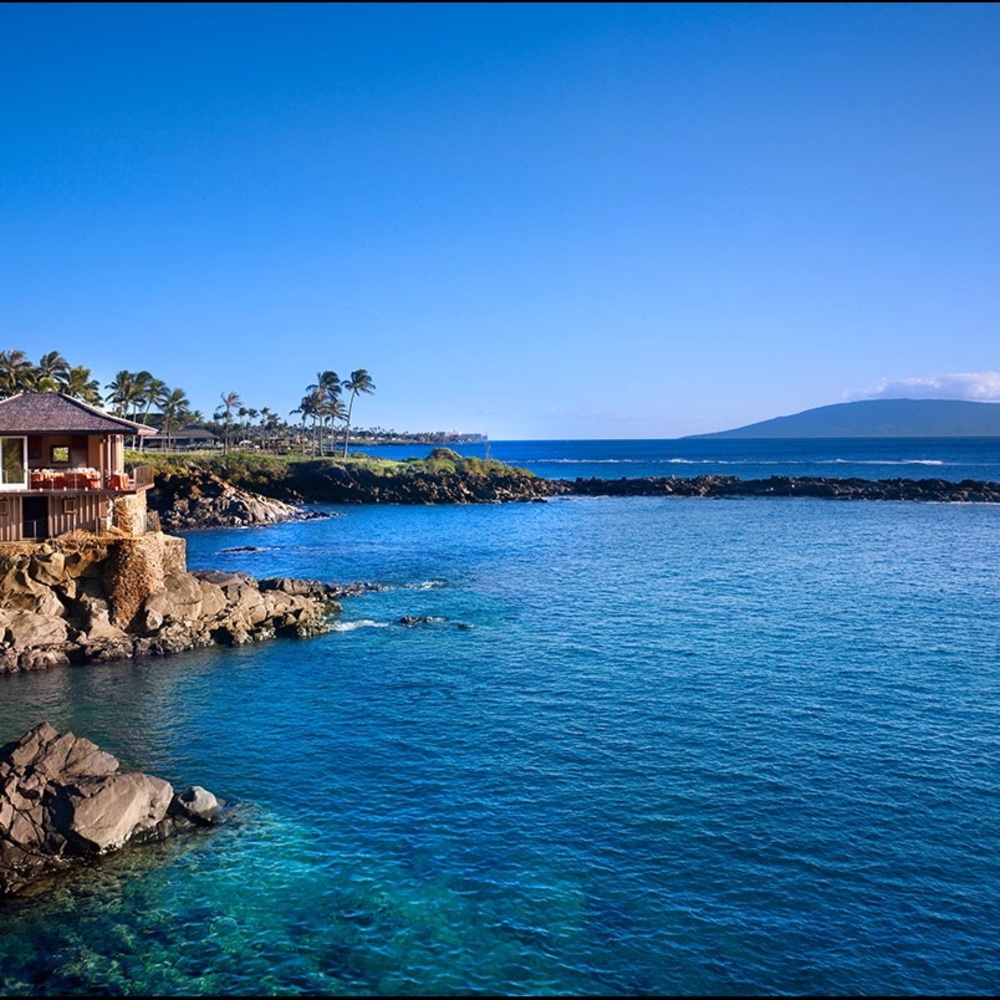 EVERYTHING MUST GO!!! IM MOVING TO HAWAII🌿