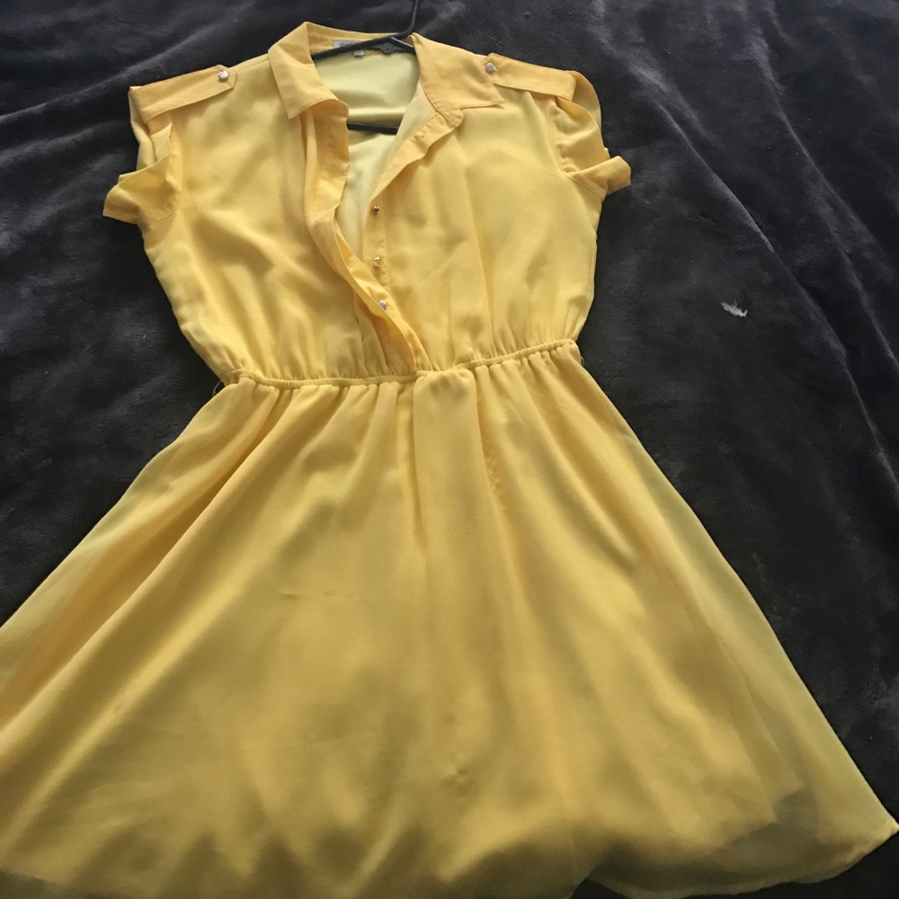 Flowey Spring Collared Dress