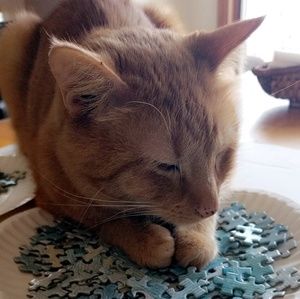 Meet your Posher, Grace