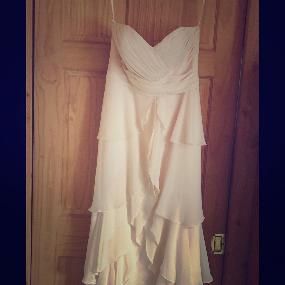 Timeless soft Blush Strapless Dress