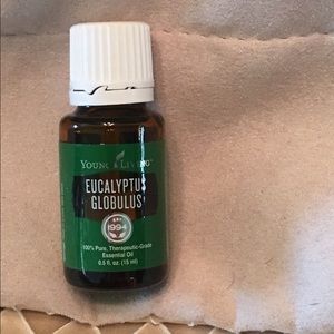 Eucalyptus Globus Young Living Essential Oil