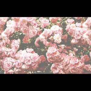 Meet your Posher, Annika