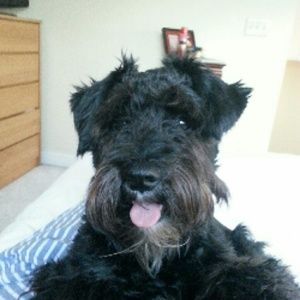 Meet your Posher, Kevin