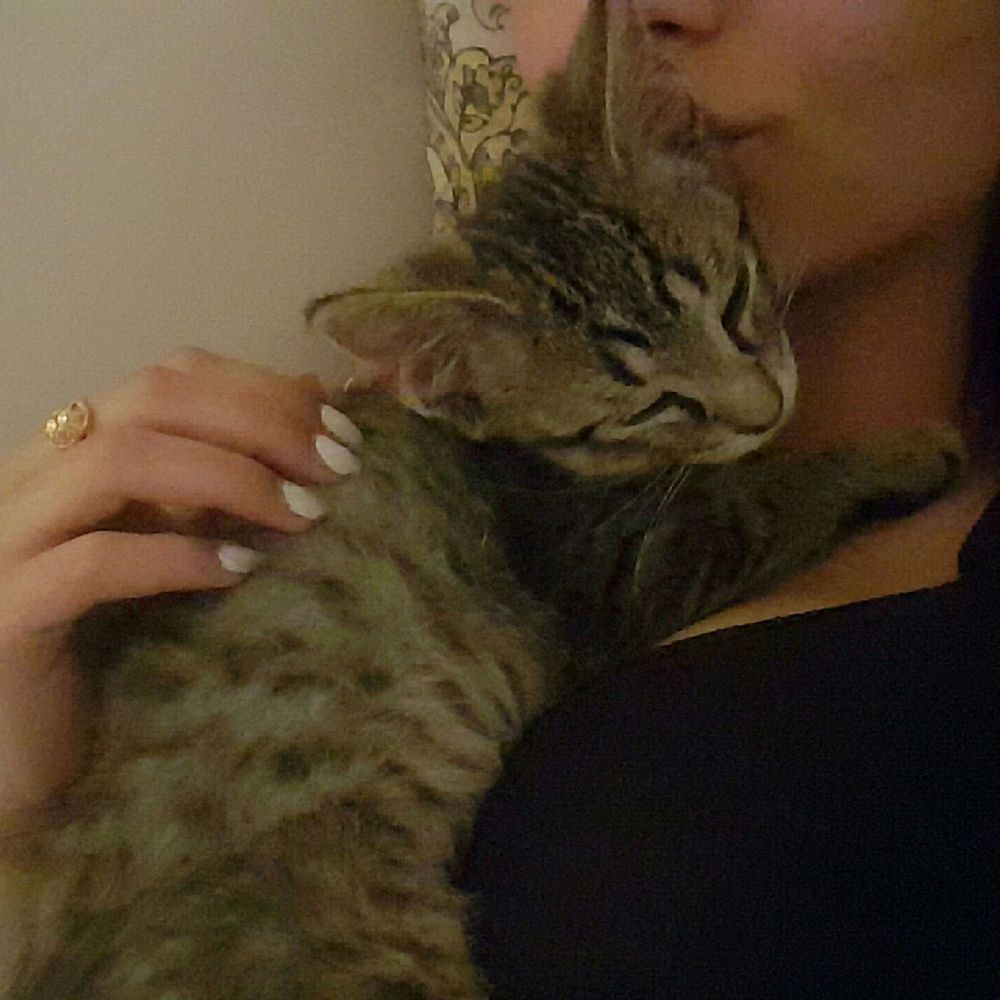 Meet your Posher, Amira