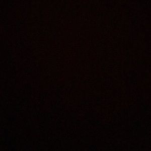 Meet your Posher, Daisy