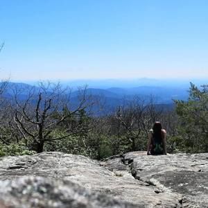 Meet your Posher, Sally