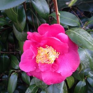 Meet your Posher, Ellen t