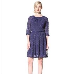 Eva Franco blue dress